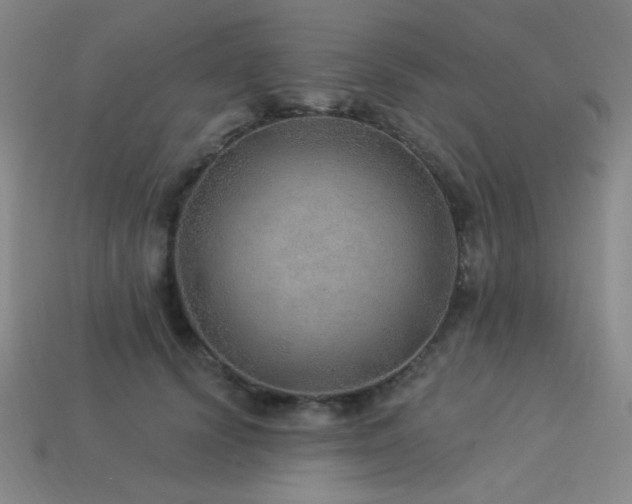 X0000114120656200910051512