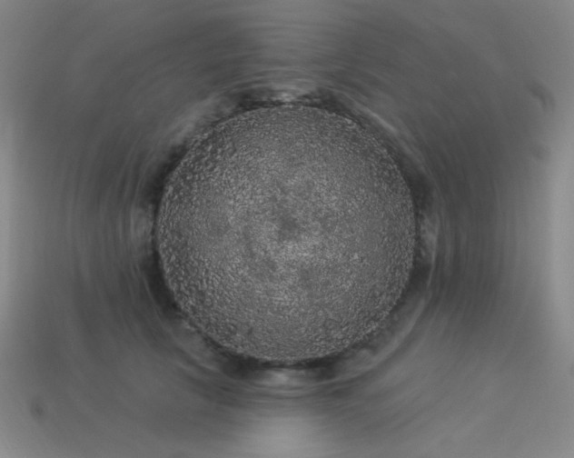 X0000114120657200910051512