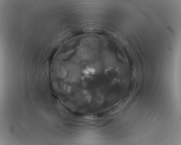 X0000114120659200910051512