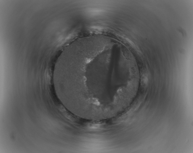 X0000114120661200910051512