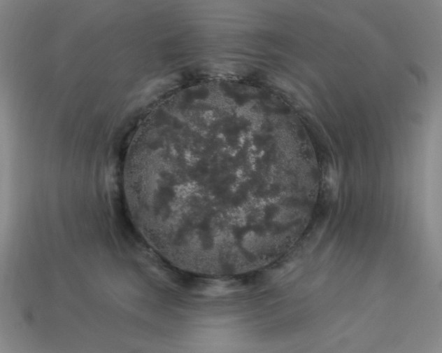 X0000114120663200910051512