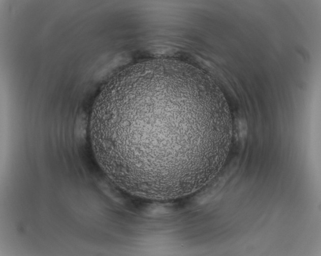 X0000114120664200910051512