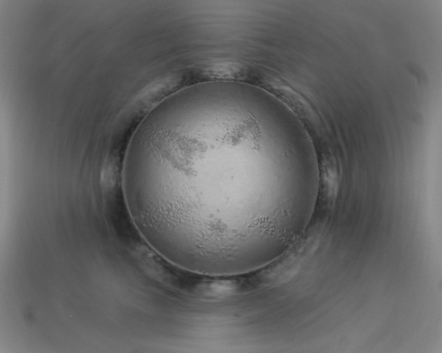 X0000114120665200910051512