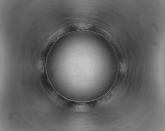 X0000114120666200910051512