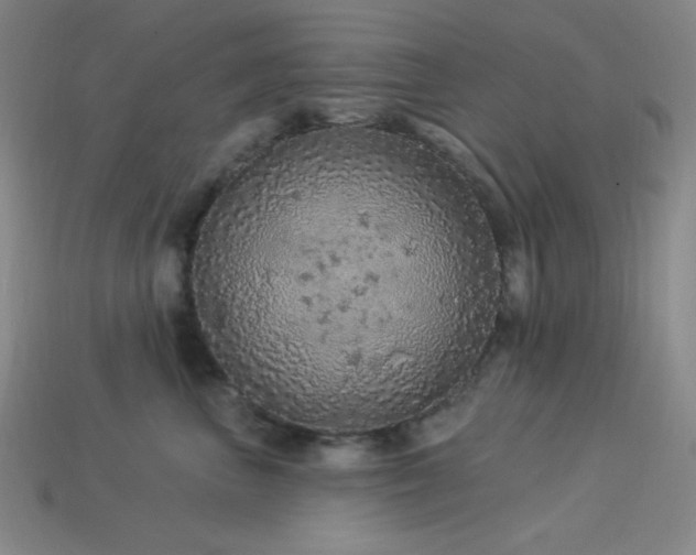 X0000114120667200910051512