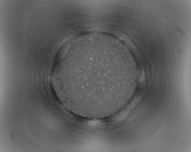 X0000114120669200910051512