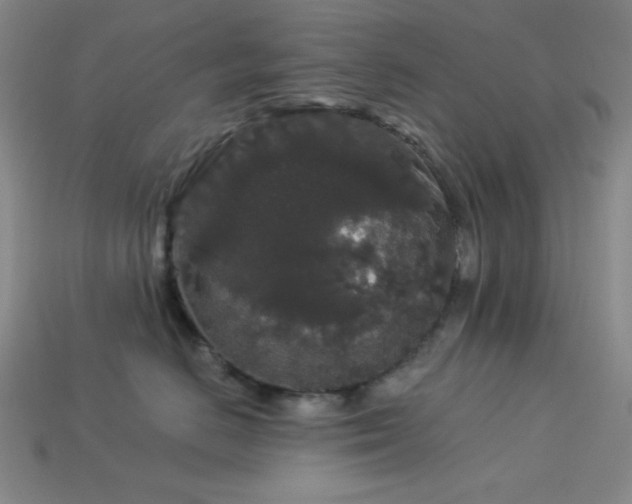 X0000114120670200910051512