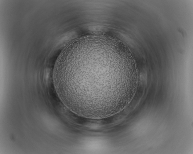 X0000114120671200910051512