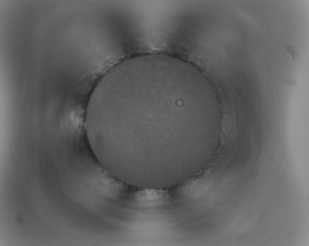 X0000114120672200910051512