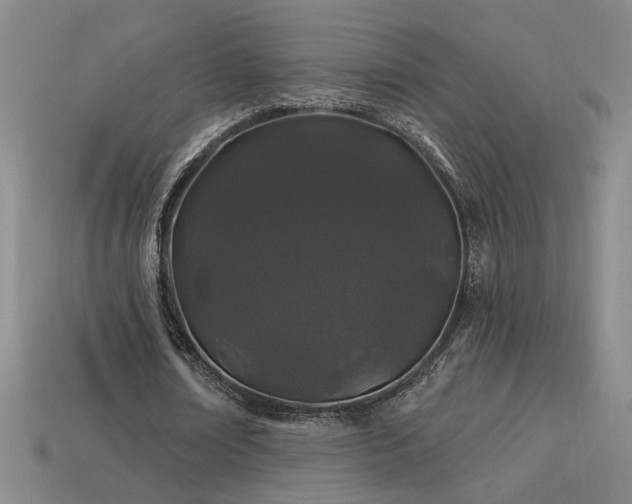 X0000114120674200910051511