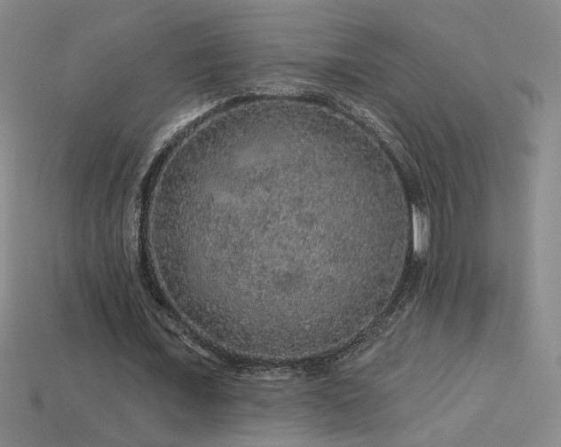 X0000114120675200910051511