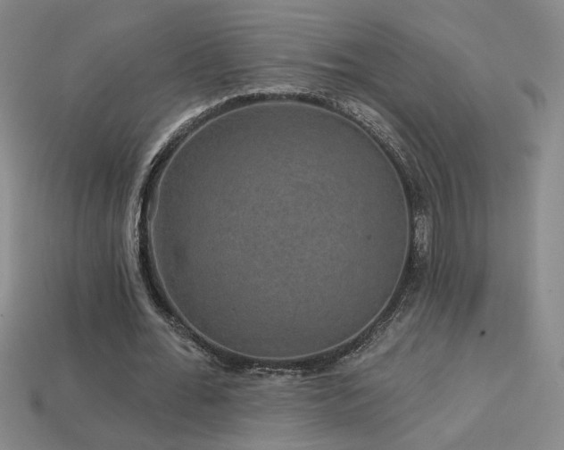 X0000114120676200910051511