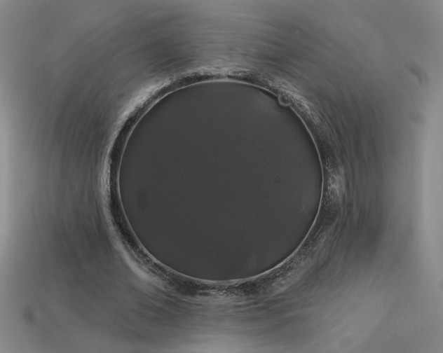 X0000114120678200910051511