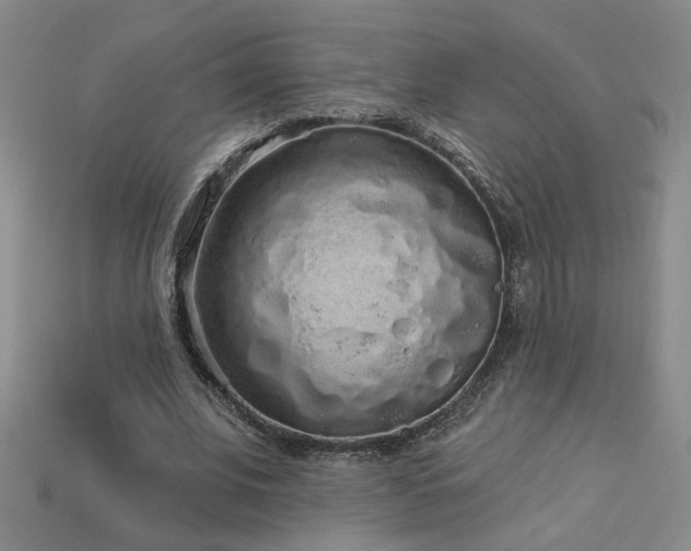 X0000114120679200910051511