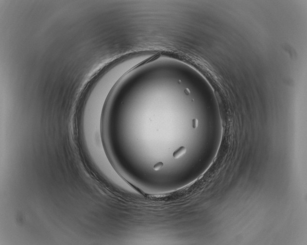 X0000114120680200910051511