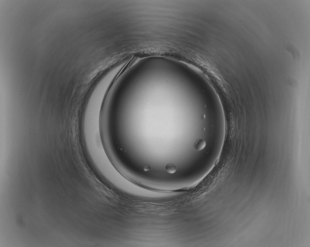 X0000114120681200910051511