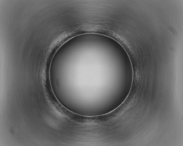 X0000114120682200910051511