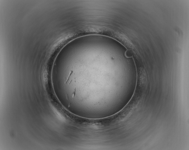 X0000114120683200910051511