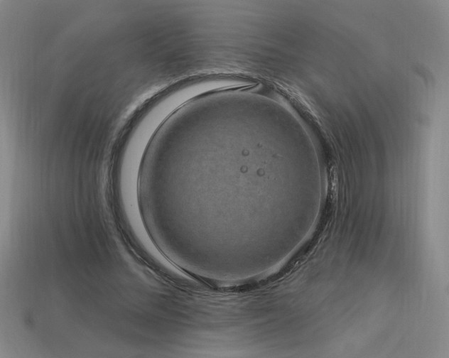 X0000114120684200910051511