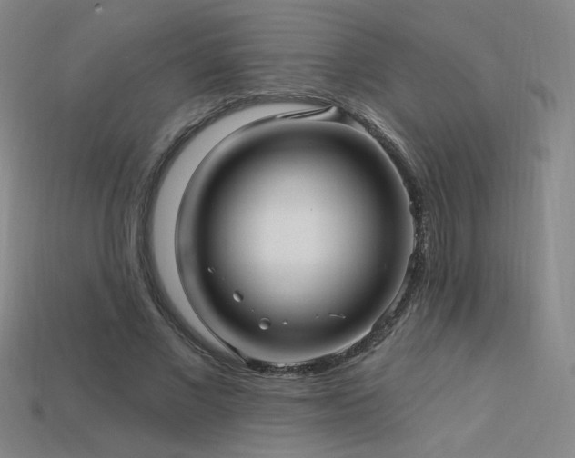 X0000114120685200910051511