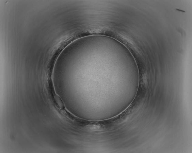 X0000114120687200910051511