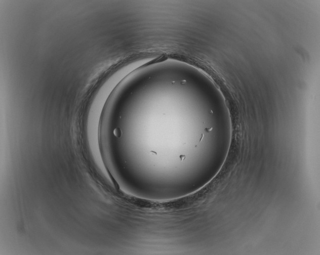 X0000114120688200910051511