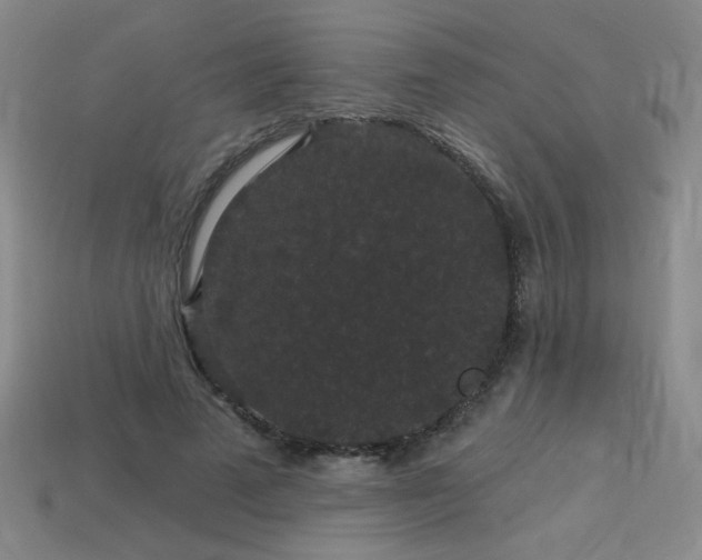 X0000114120689200910051511