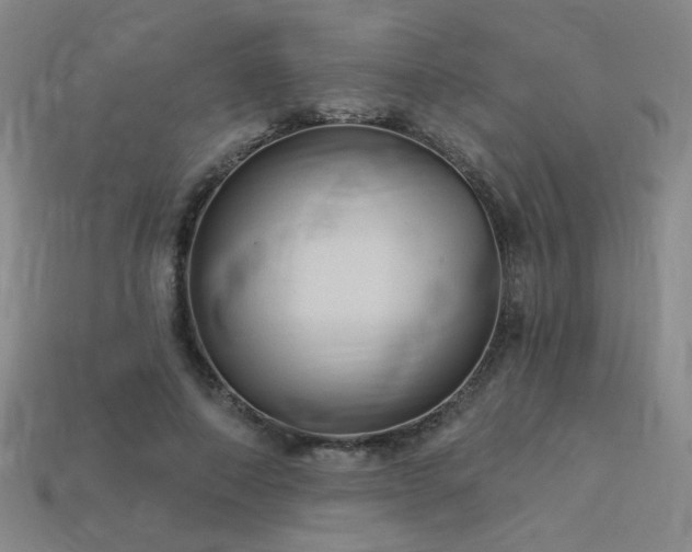 X0000114120690200910051511