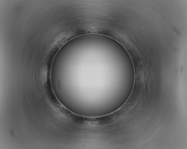 X0000114120694200910051511