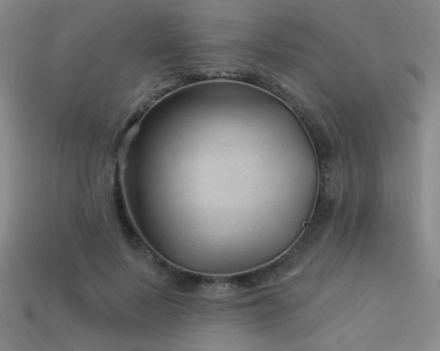 X0000114120695200910051511