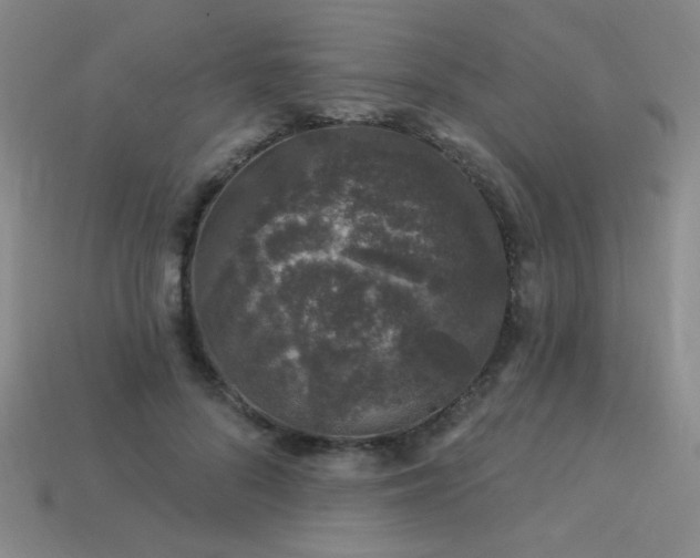 X0000114120696200910051511