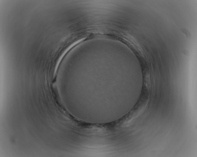 X0000114120697200910051511