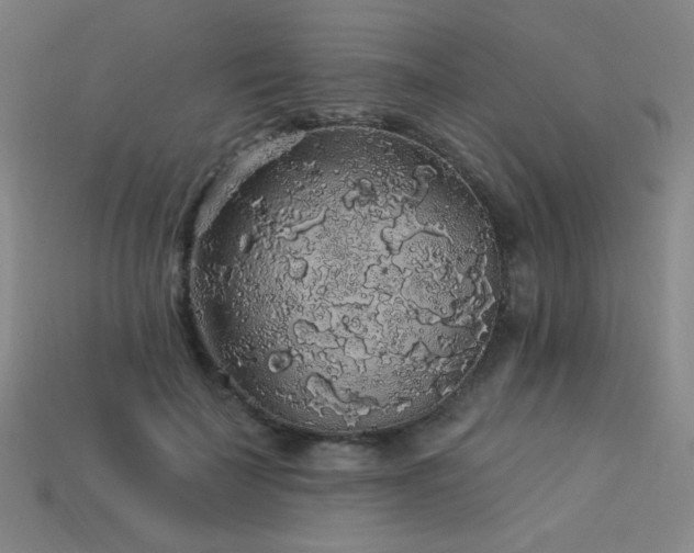 X0000114120699200910051511