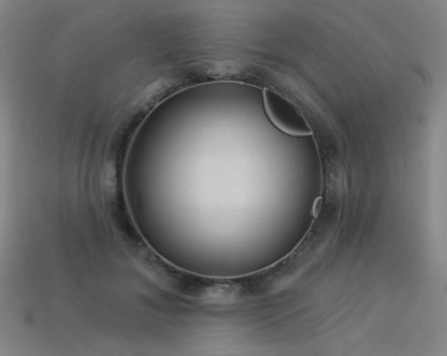 X0000114120700200910051511