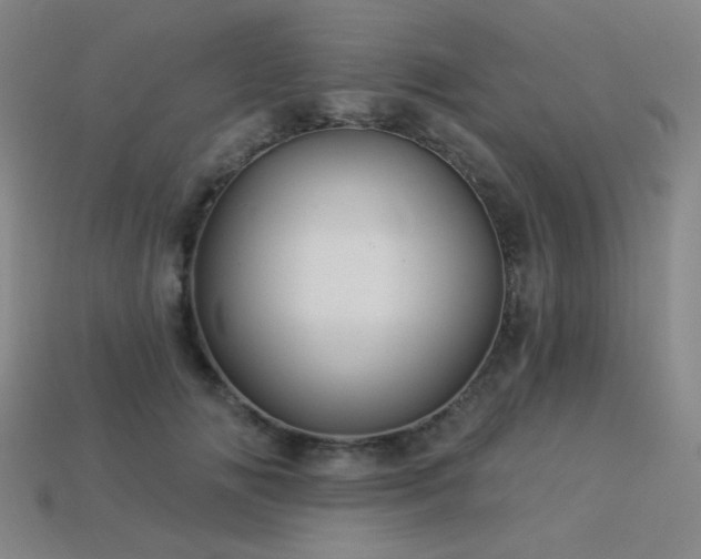 X0000114120702200910051511