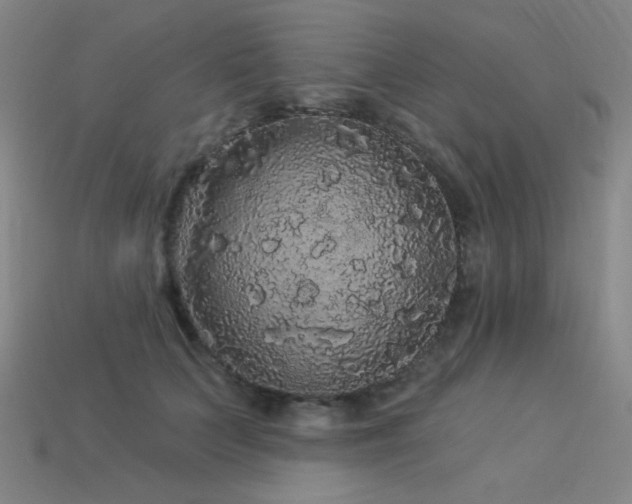 X0000114120703200910051511