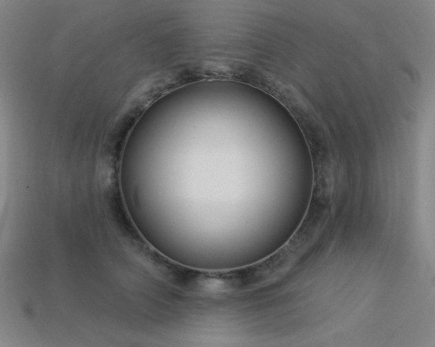 X0000114120706200910051511