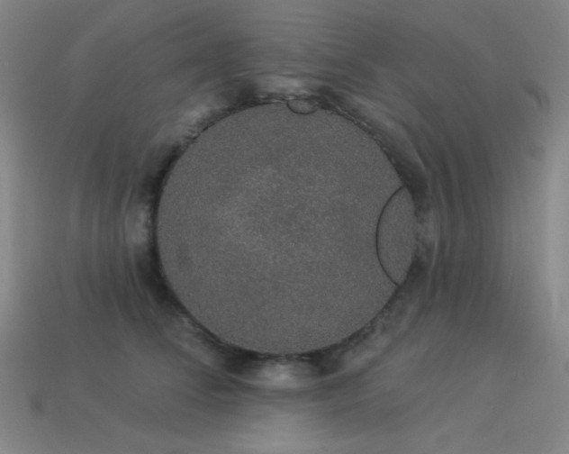 X0000114120708200910051511