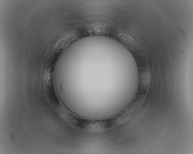 X0000114120709200910051511