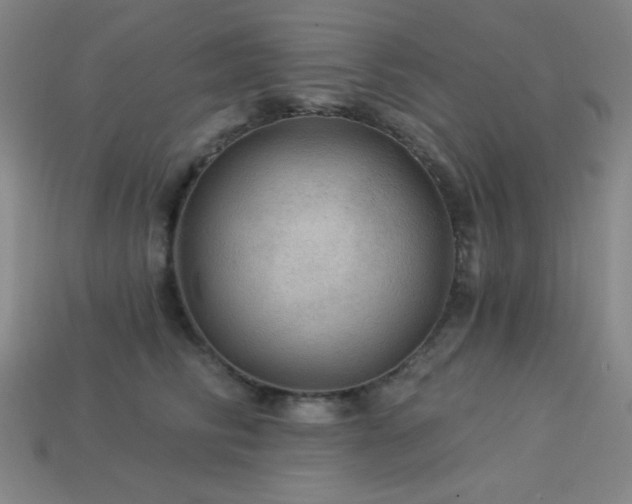 X0000114120710200910051511