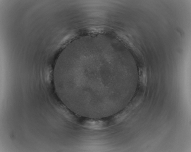 X0000114120712200910051511