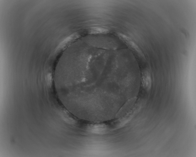 X0000114120716200910051511