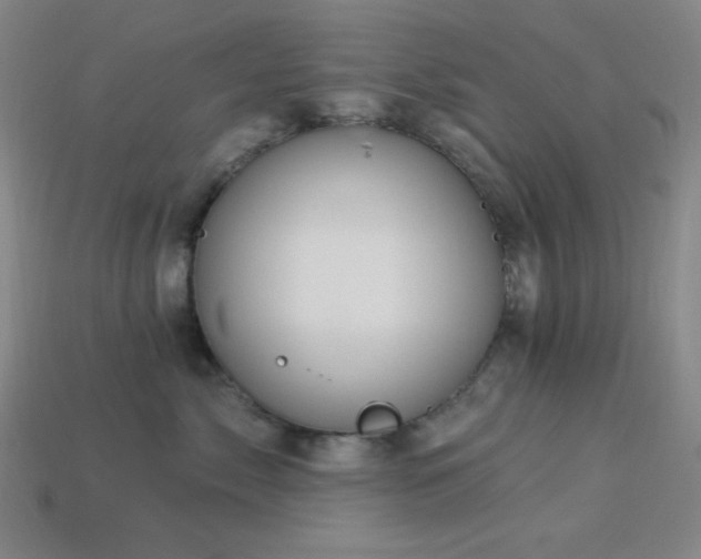 X0000114120717200910051511