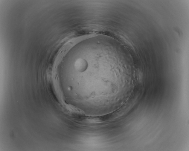 X0000114120719200910051511