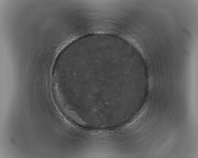 X0000114120721200910051510