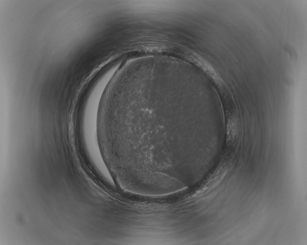 X0000114120722200910051510