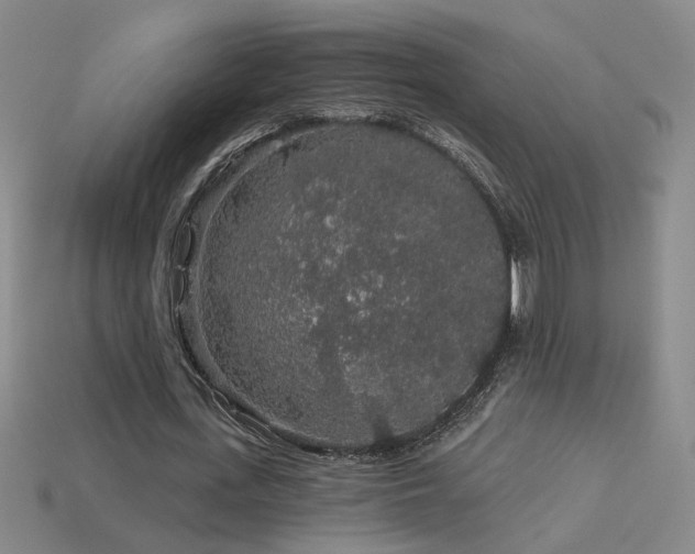 X0000114120723200910051510