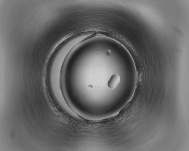 X0000114120724200910051510