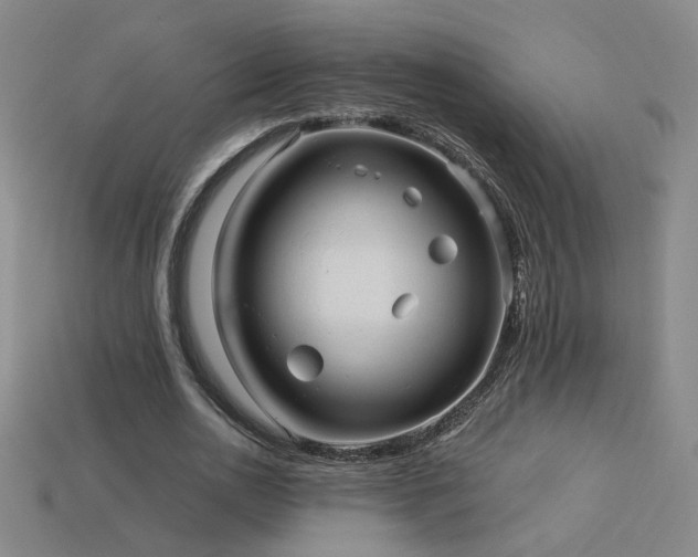 X0000114120726200910051510