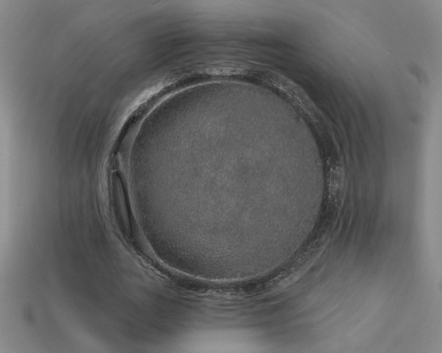 X0000114120727200910051510